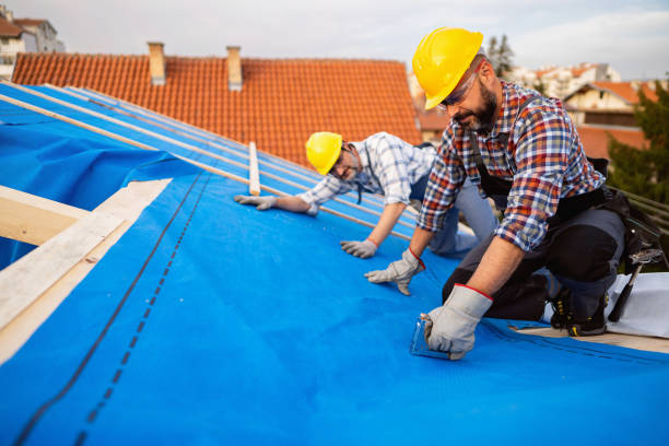 Best Roof Coating and Sealing  in Milledgeville, GA